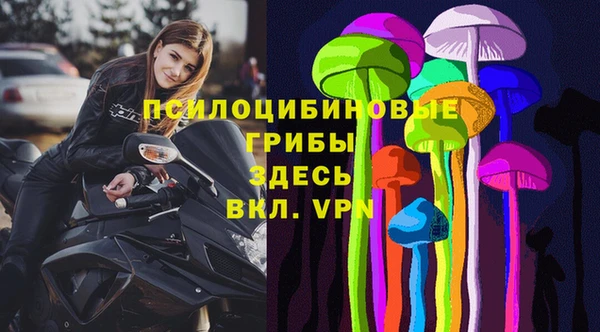ПСИЛОЦИБИНОВЫЕ ГРИБЫ Алексин