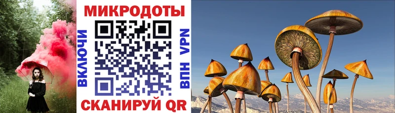 Галлюциногенные грибы мицелий  Среднеколымск 